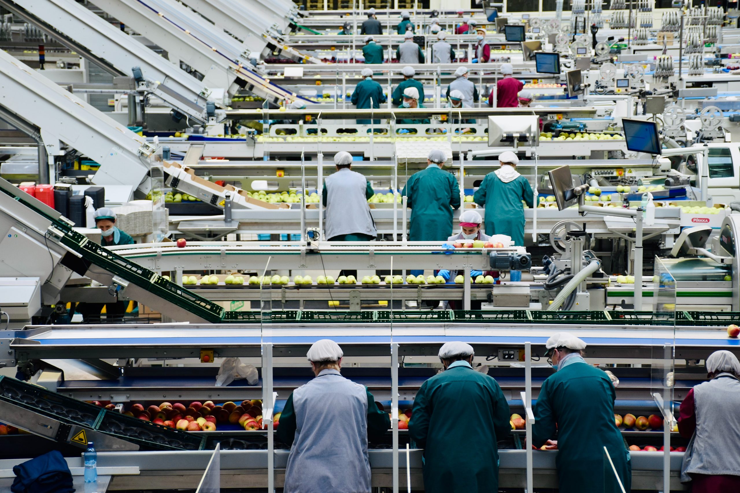 employment background screening