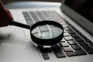 fraud investigator