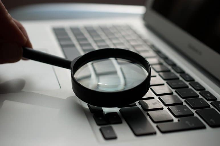 fraud investigator