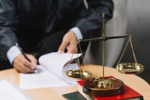 litigation support