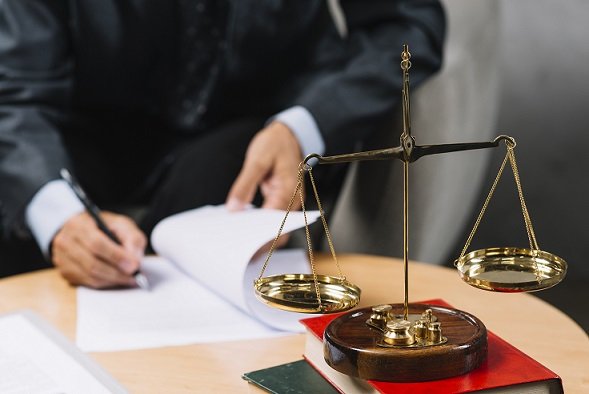 litigation support