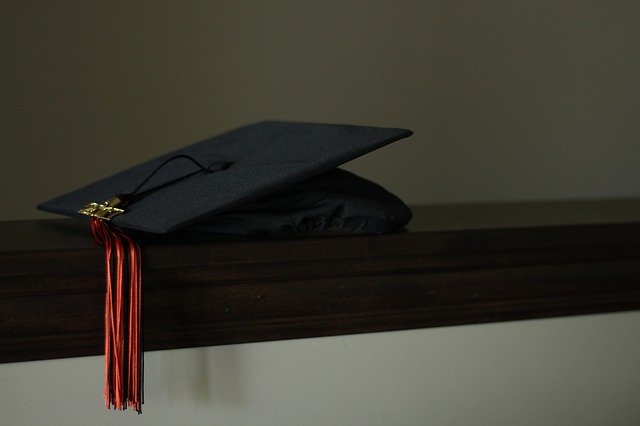 fake degree