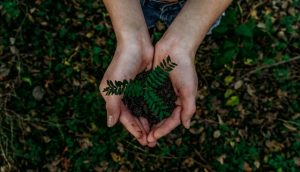 Image for article: Greenwashing, akurasi dalam sebuah klaim ‘keberlanjutan’