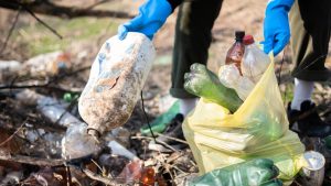 greenwashing
