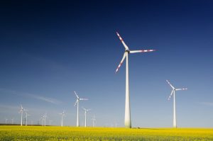 Image for article: Reaping better business opportunities with ESG due diligence